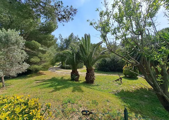 Rez De Jardin Villa Presqu\'Ile De Giens