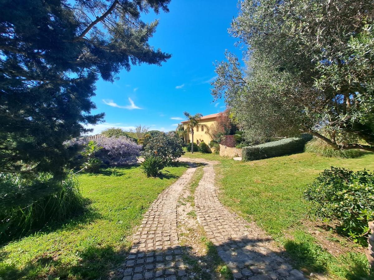 Rez De Jardin Presqu'ile De Giens Apartamento