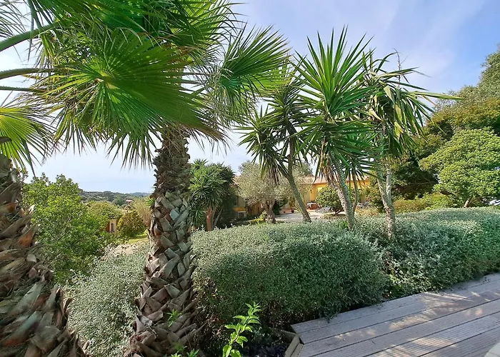 Rez De Jardin Villa Presqu\'Ile De Giens