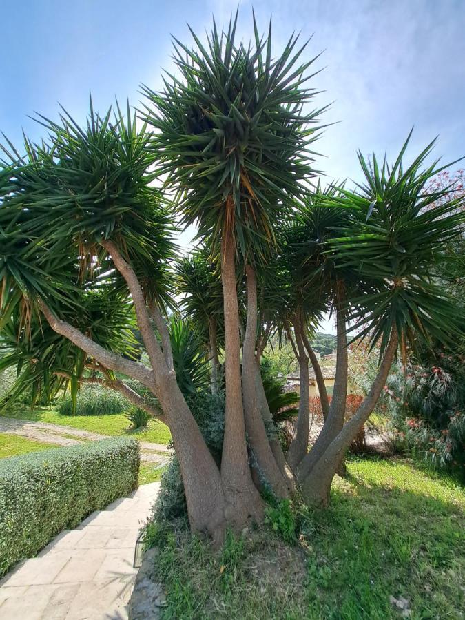 Rez De Jardin Presqu'ile De Giens Hyères